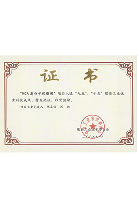 2005年1月MCA高分子促凝劑獲“九五、十五”科技成果獎